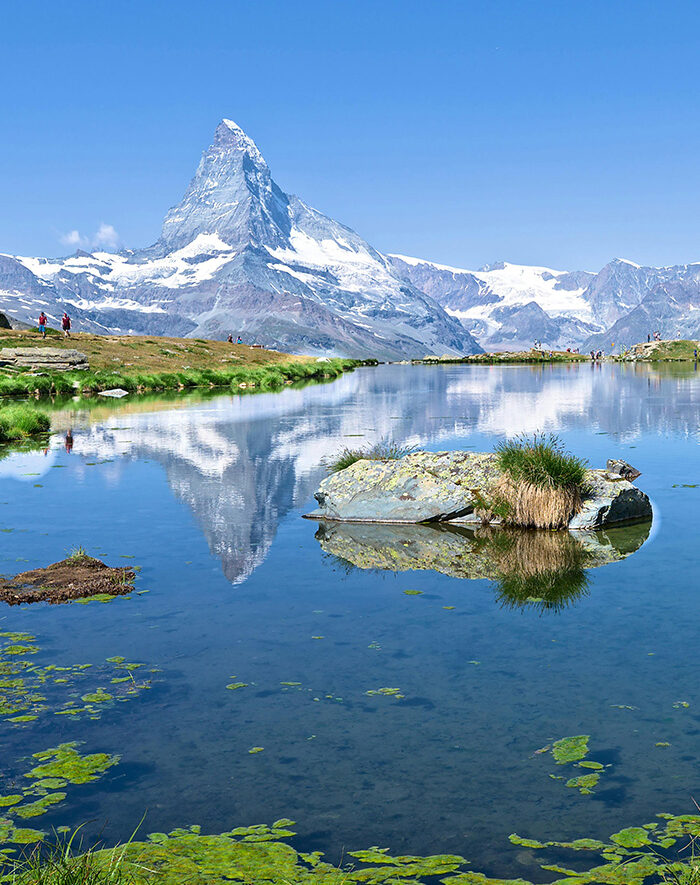 Swiss Biohealth Concept