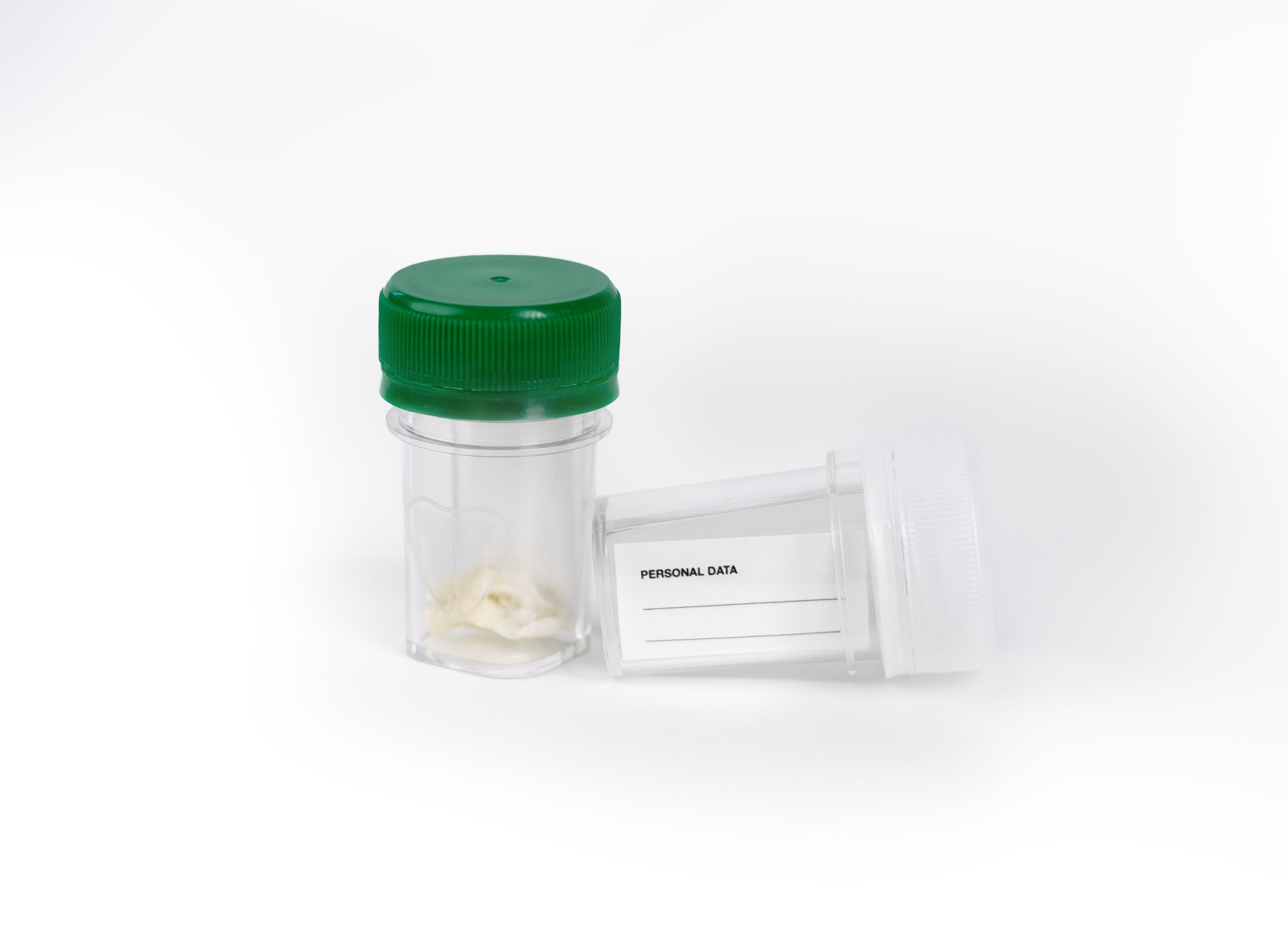 Tooth Transformer